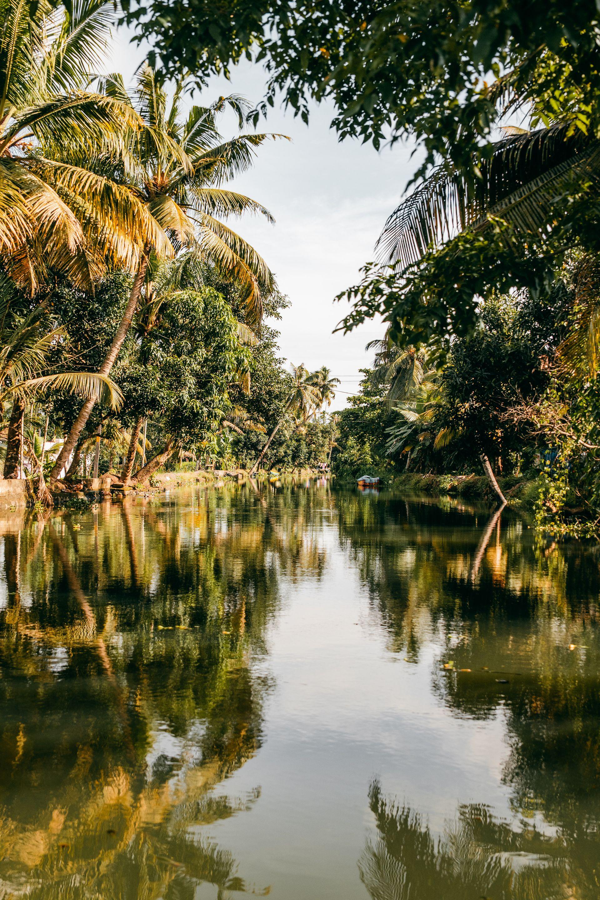 Kerala view 2