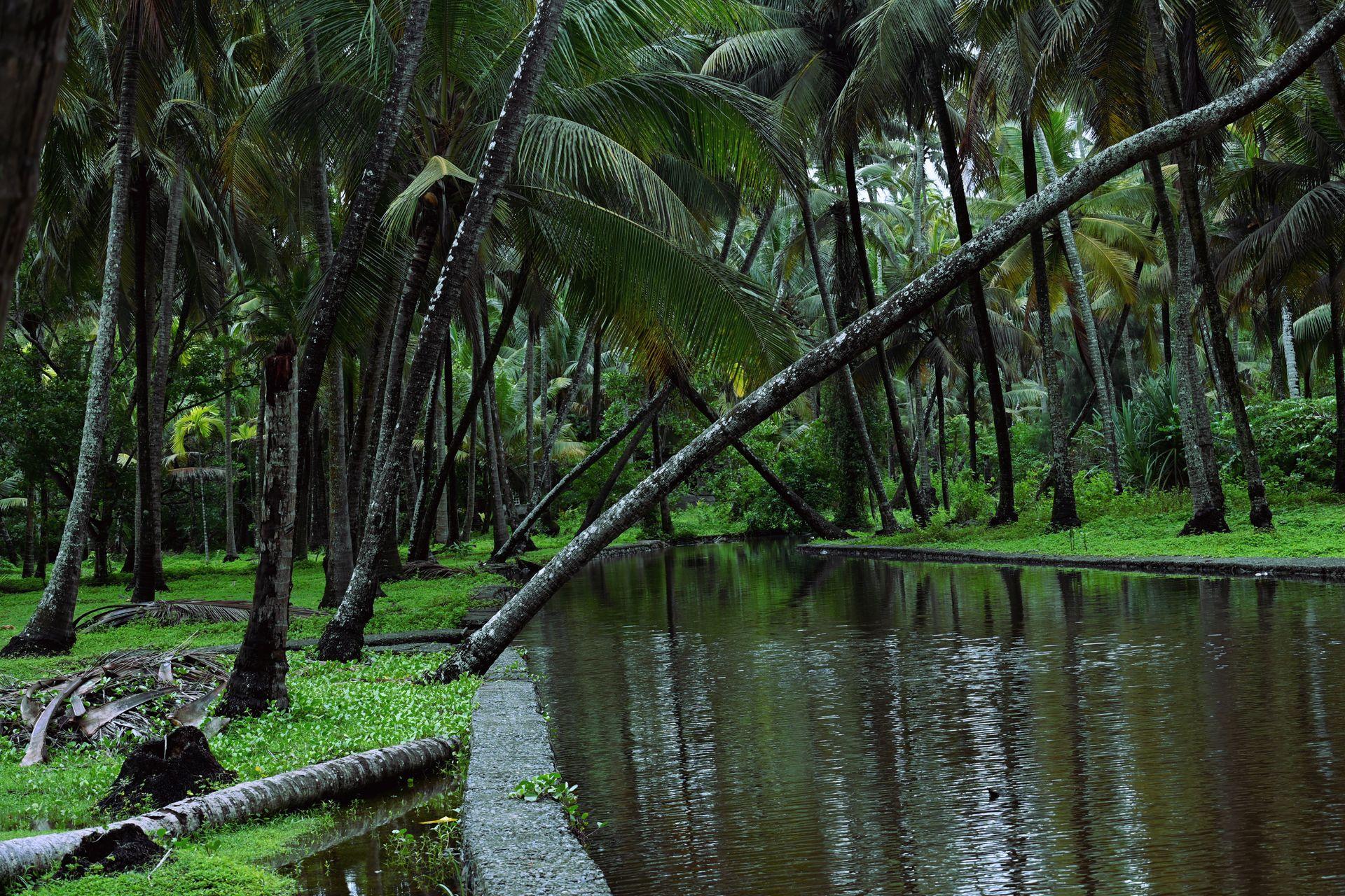 Kerala view 3
