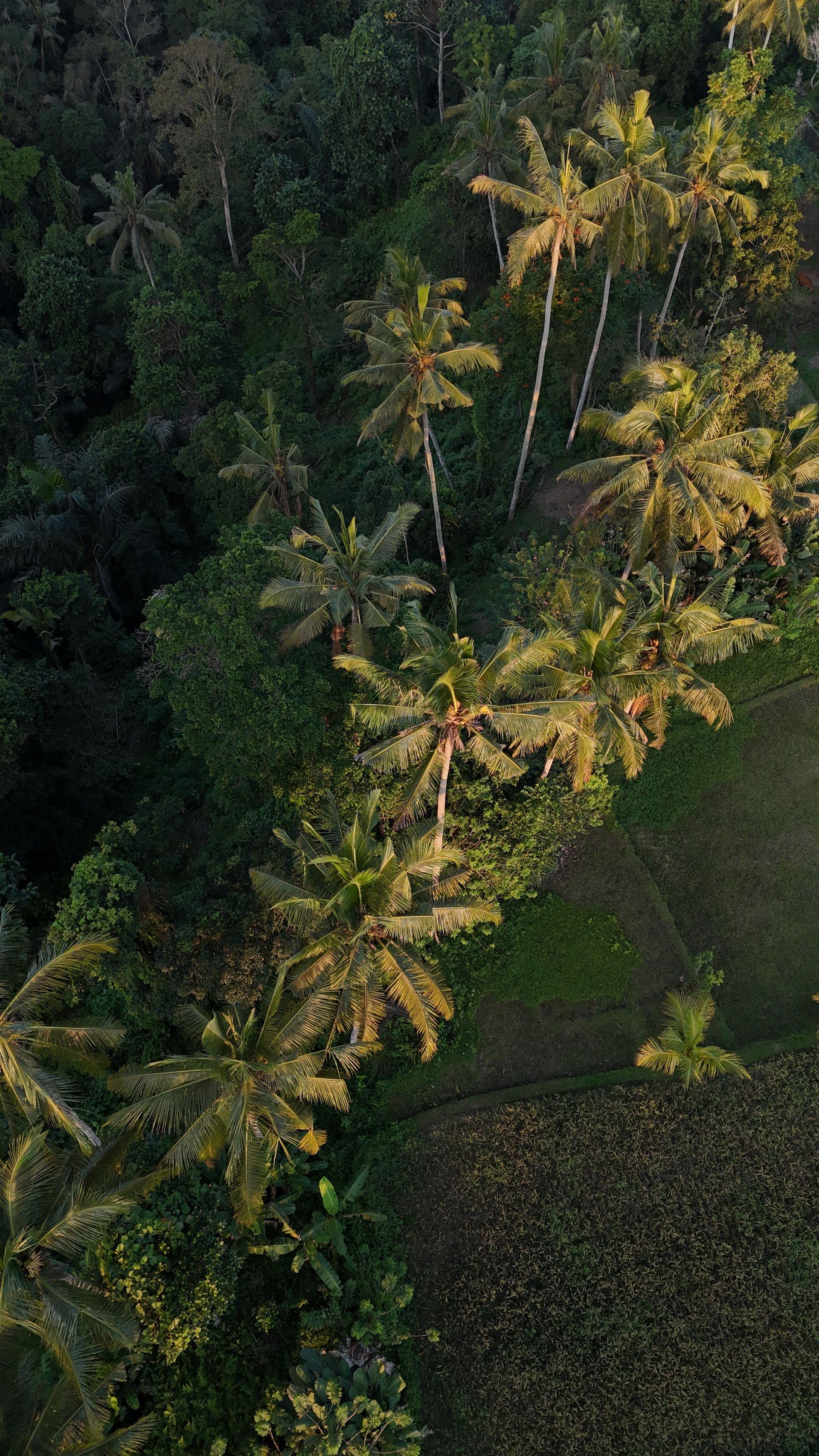 Bali view 2
