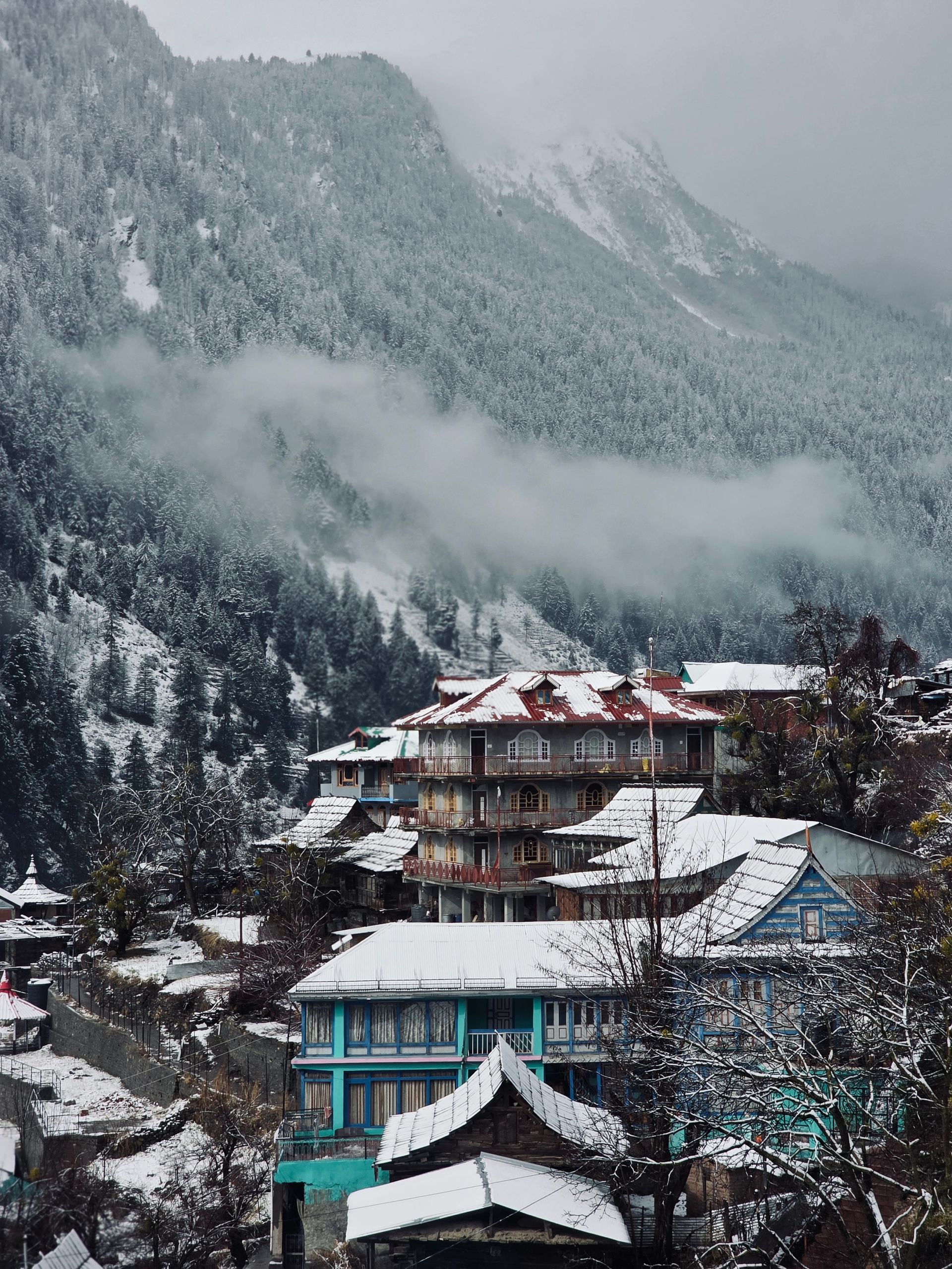 ️ Shimla–Manali Hill Escape: 5N/6D Package — photo 2